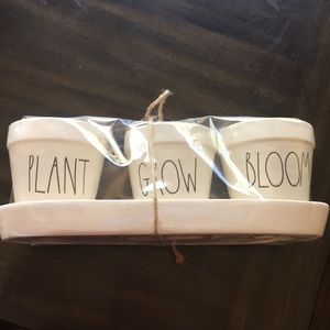 Rae Dunn Plant Grow Bloom planter